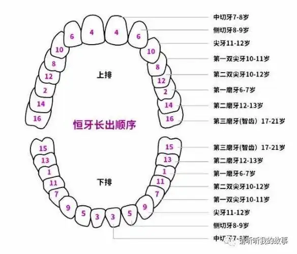 后疫情时代的自我重构:牙齿健康是父母的责任!