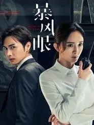《暴风眼》高清国产电视剧免费在线观看-策驰影院