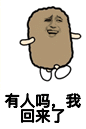 回来金馆长猫屎奔跑有人吗我回来了gif动图_动态图_表情包下载_soogif