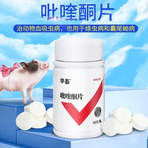 华畜吡喹酮片50片瓶肝脑清驱虫促长防治脑包虫动物血吸虫病用于治多种