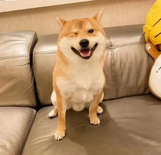 头像大全精选热门微信头像适合发圈的高情商句子