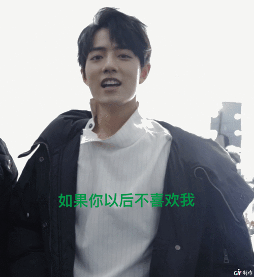 王一博肖战表情包