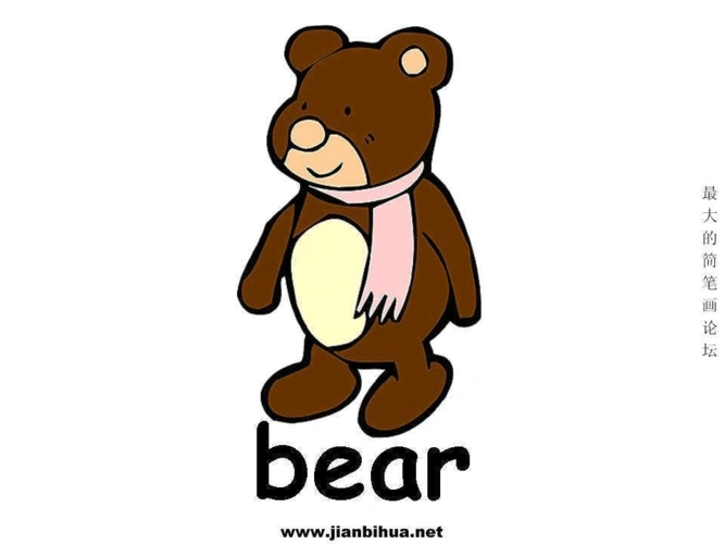 动物英语单词卡片