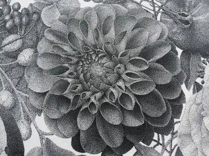 用针管笔点绘 | 法国画家 xavier casalta