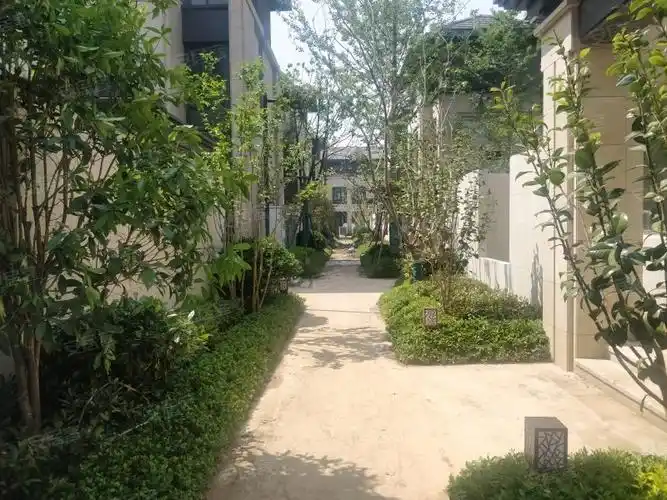 路劲太湖院子(别墅),延政西大道,近环湖西路-常州路劲太湖院子(别墅)