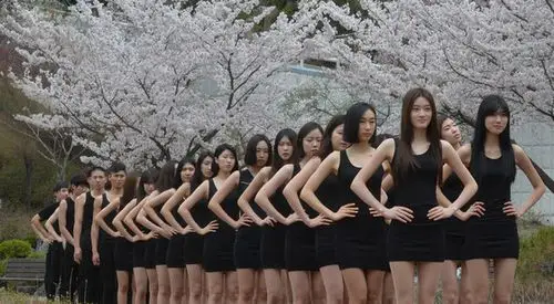 韩女生集体走秀 长腿细腰展窈窕身姿【组图】 (6)