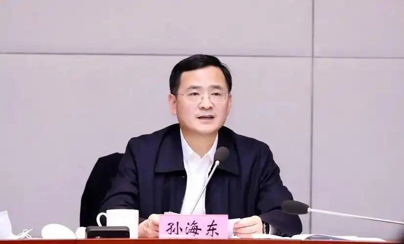 滨湖区委书记孙海东强化协作配合全面推动与大湾区联动融合