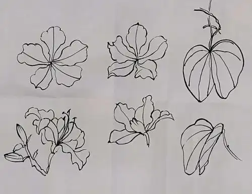 紫荆花画法 - 美篇