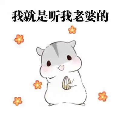 宠老婆表情包:我老婆我惯的,我就是喜欢我老婆