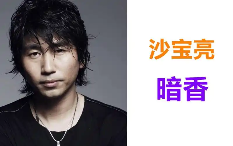 怀旧经典沙宝亮暗香火遍大江南北的神曲金粉世家主题曲