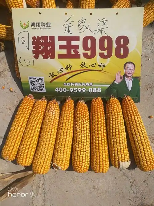 种业玉米品种的信赖,和对本公司的大力支持,现主办此次翔玉998欢乐购