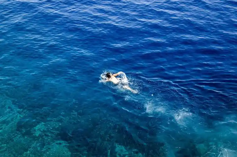 诗歌欣赏|在海里游泳