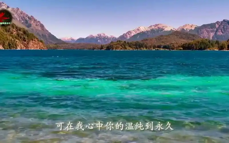 活动作品一首非常经典的歌曲甘心情愿原唱郭峰