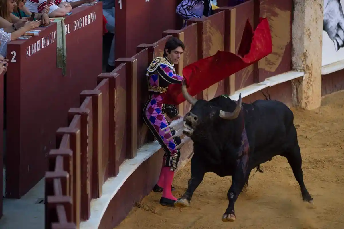 西班牙斗牛表演(1)