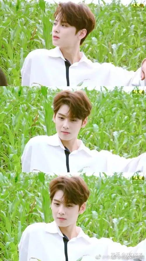 因为什么喜欢车银优