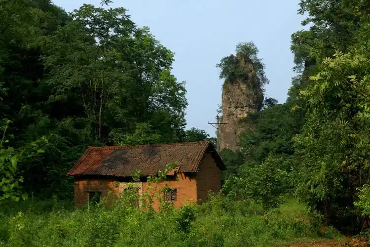 景区内林茂草丰,雉飞鹿鸣,四季泉水喷涌,常年飞瀑成群,翠竹碧水交织