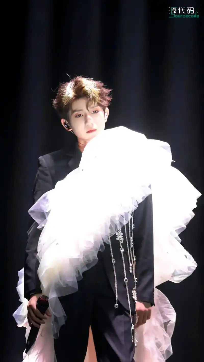 你的身影幻化为月光,照亮彼此过往.#王源 #王源客厅狂欢巡回 - 抖音