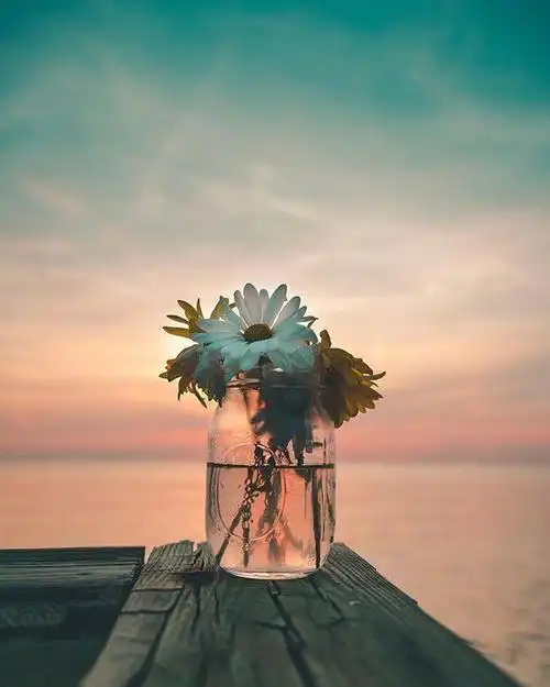 有深度有内涵的心灵鸡汤句句扎心字字醒人