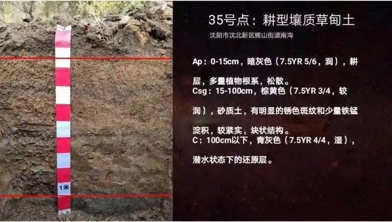 耕型壤质草甸土不同层次的土盒标本各种各样的土盒标本02详细图解认真