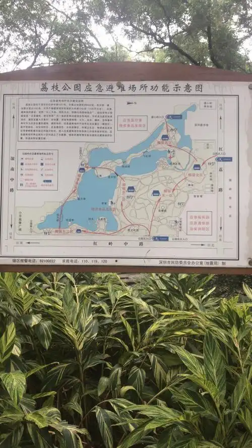 2019荔枝公园游玩攻略,深圳城中的几个公园,只有荔. 【去哪儿攻略】