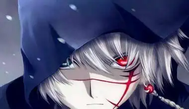 头发,异色瞳,左眼蓝色右眼红色,右眼下还有红色纹记,请问这是什么动漫