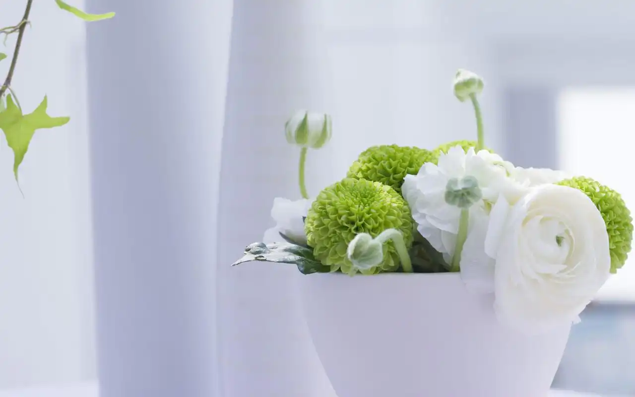 简单可爱小清新鲜花桌面壁纸