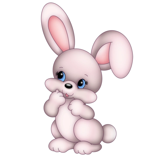 动物兔子图片大全