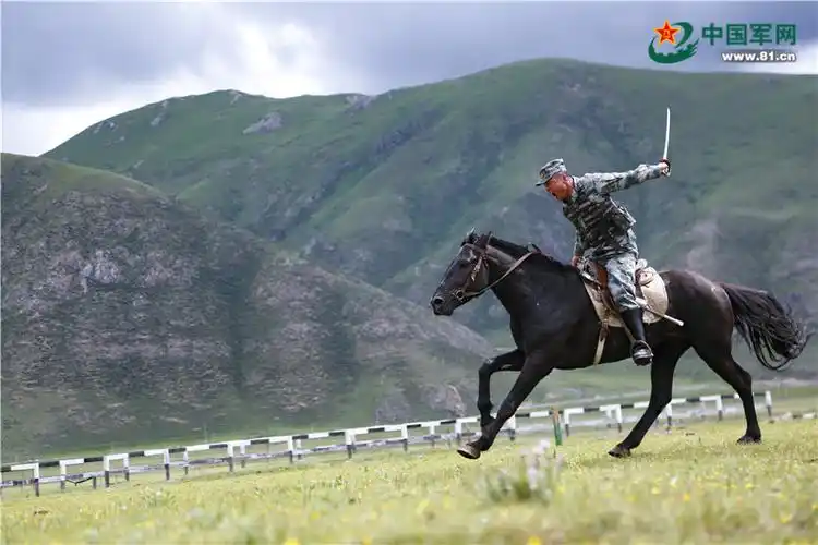 在海拔4200的青藏高原上,有这样一群策马奔腾的兵哥哥