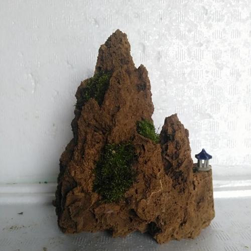 南啵丸各种规格吸水石假山盆景15厘米带盆庭院景观绿植奇石观赏石摆件