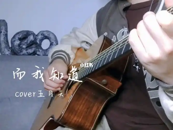 带和弦谱而我知道cover五月天