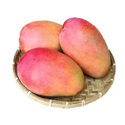 巧妙安全性考验之红玉篇