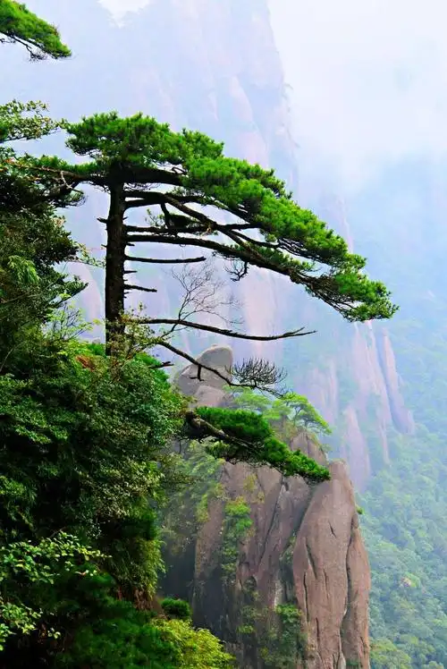 2020年io月27日风景如画的三清山(四)