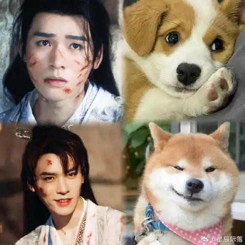 刘星分饼涂山红红喂粥