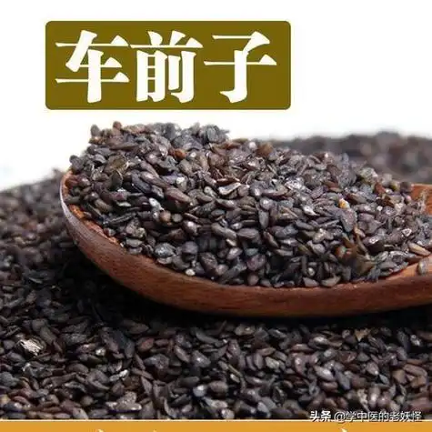 车前子的功效与作用今天讲讲利尿通淋药这类药利水主要以利尿为主其中