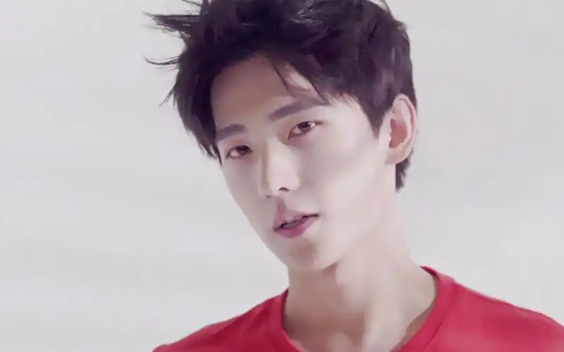 中国颜值最高十大男星(长相剑眉星目的10位男明星)插图13