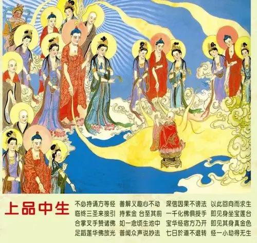 精美图文细说九品莲花