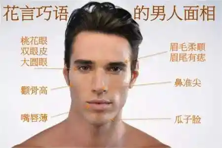 颧骨高的男人面相(颧骨高的男人命好不好)