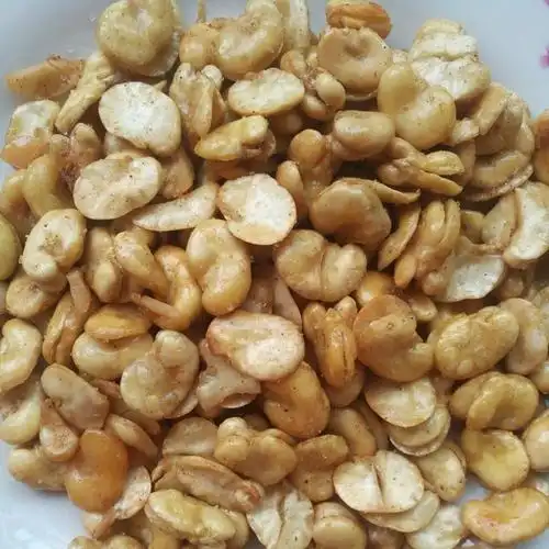 9_e9vm做的油炸蚕豆