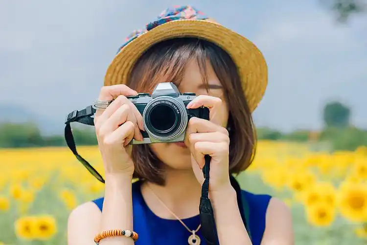 晴天户外向日葵花海中拿着相机拍照的女孩特写图片下载