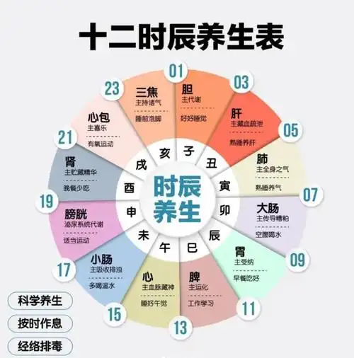 十二时辰养生表
