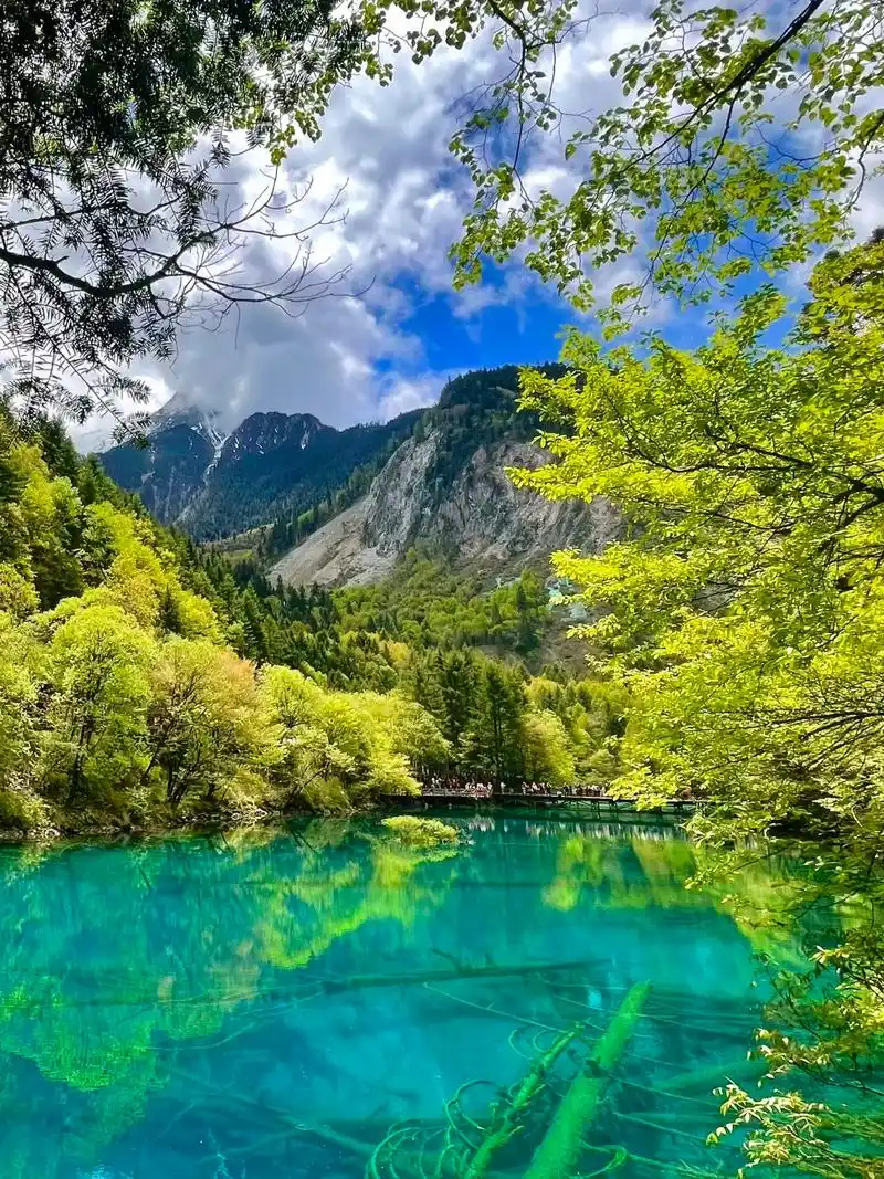 近日#九寨沟五花海,如仙境一般,五花海 - 抖音