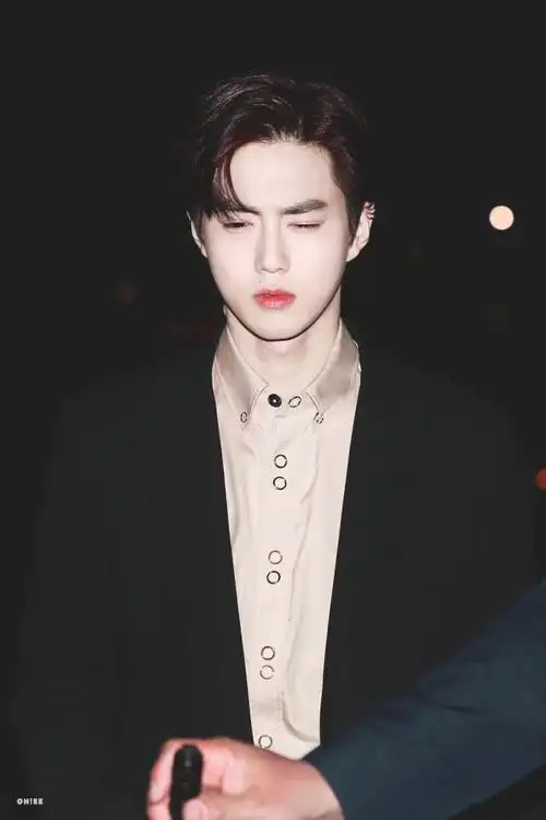 exo金俊勉suho