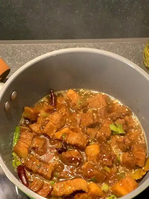 半夜刷到厨房历险记的电饭煲红烧肉好馋