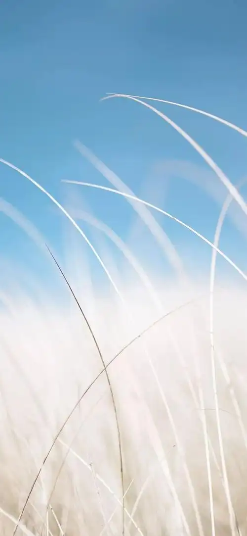 精选100张高清无水印全面屏好看清新个性壁纸