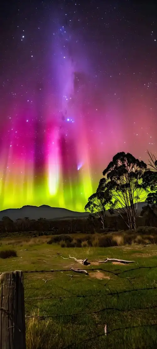 壁纸 桌面 1080_2395 竖版 竖屏 手机