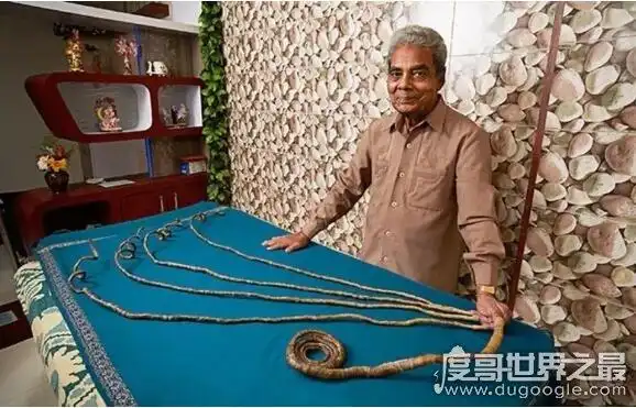 世界上指甲最长的人印度男子指甲长达9096厘米62年未剪