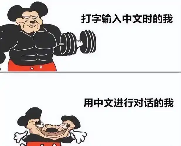 中文难学传出国,外国网友用"梗图"幽默吐槽