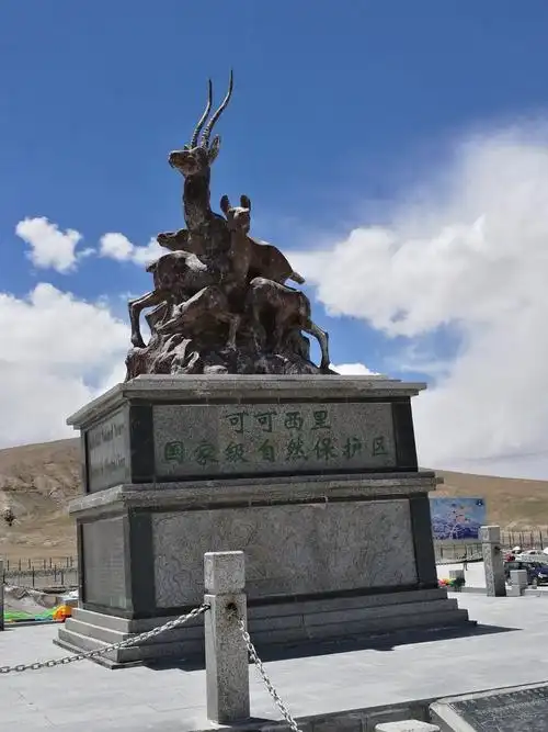 4768,梦圆可可西里