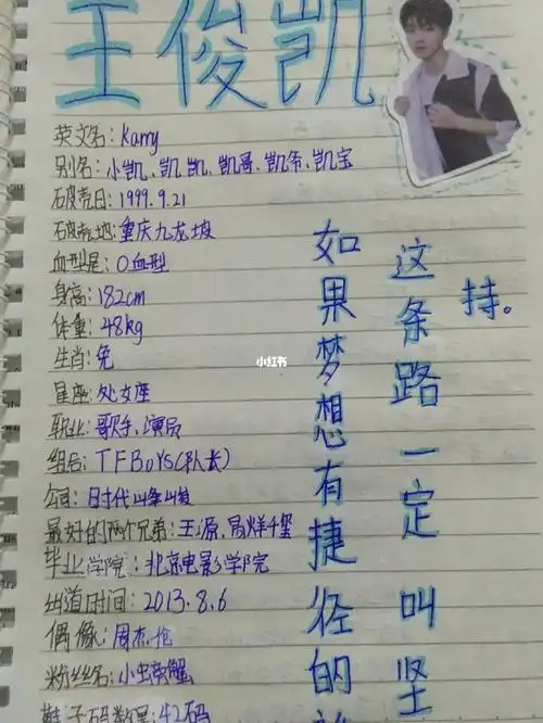 王俊凯的手帐,字丑请勿喷