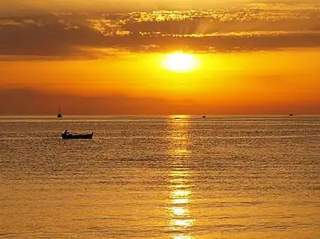 海岸,橙色,亚得里亚海,海滩,黑山,影子,伞